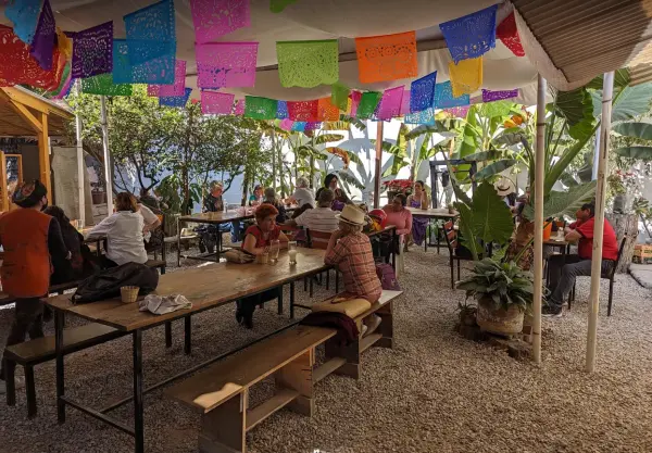 Brunch at “La Cosecha Organic Market”