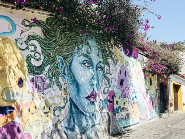 Street art of Jalatlaco