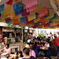 Brunch at “La Cosecha Organic Market”