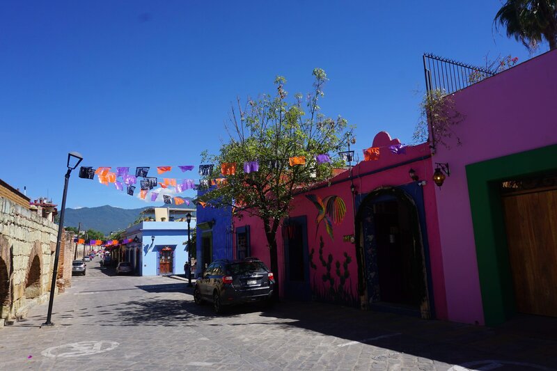 oaxaca_laura_2